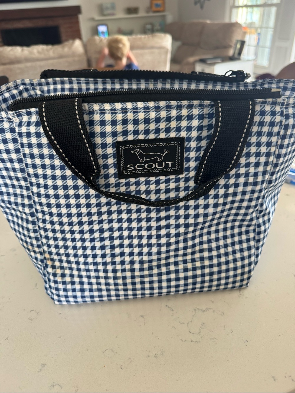 SCOUT Navy Gingham lunch Bag - Picture 2 of 4